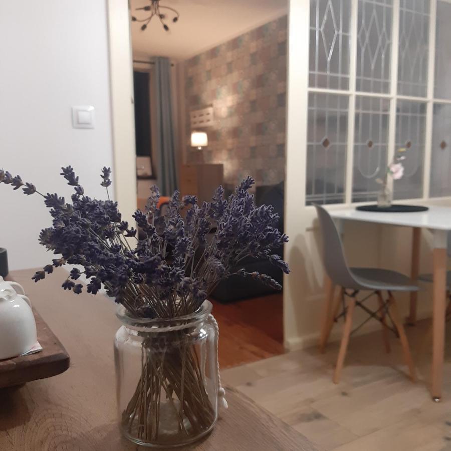 Apartman U Javoru 반스도르프 외부 사진